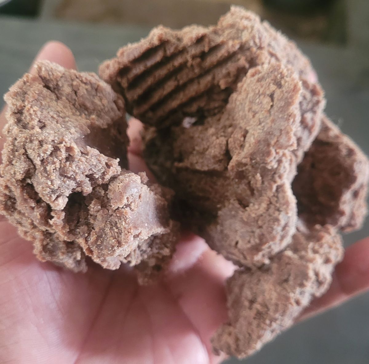 Oil Cake