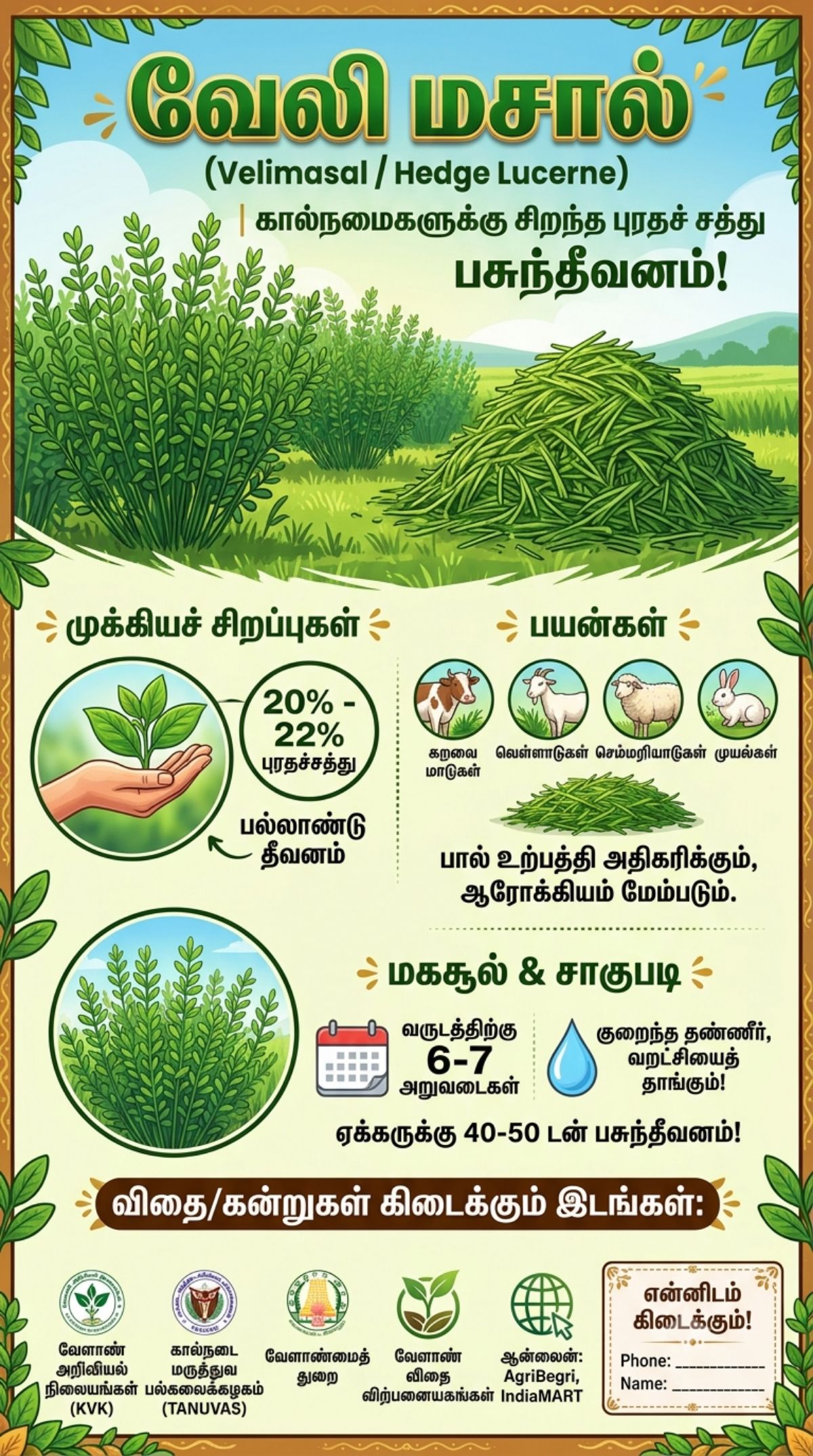 Fodder Seed