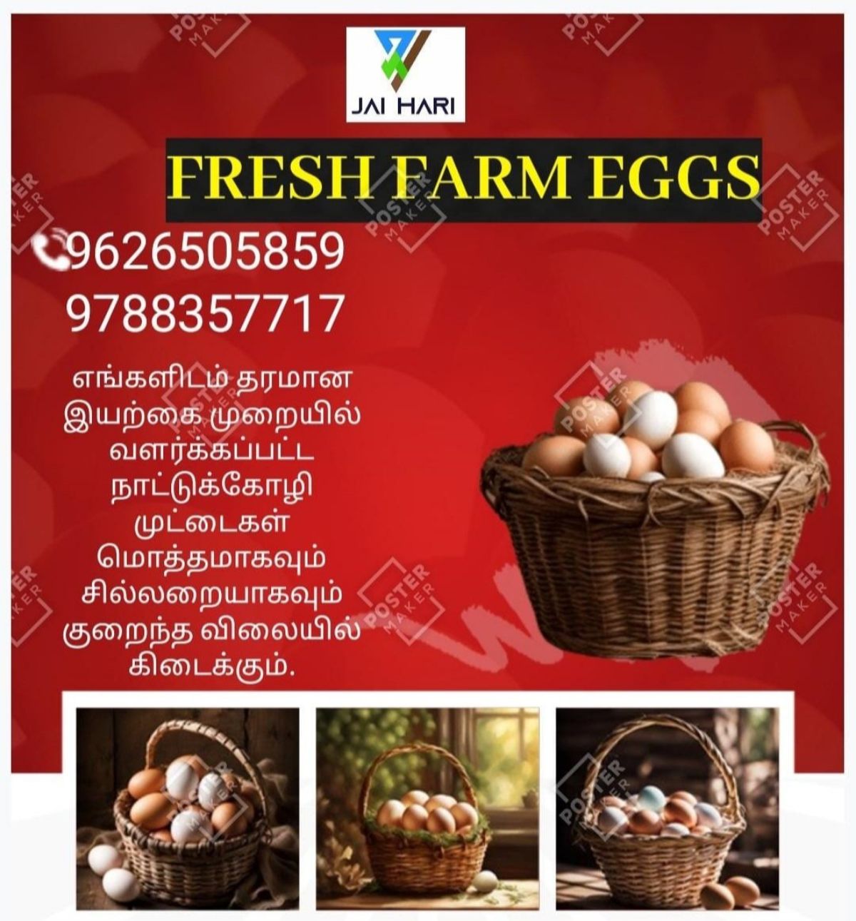 நாட்டுக்கோழி முட்டை
