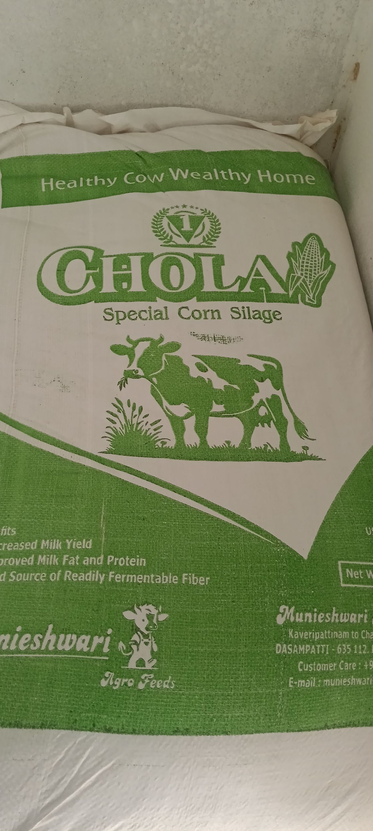 Maize Fodder