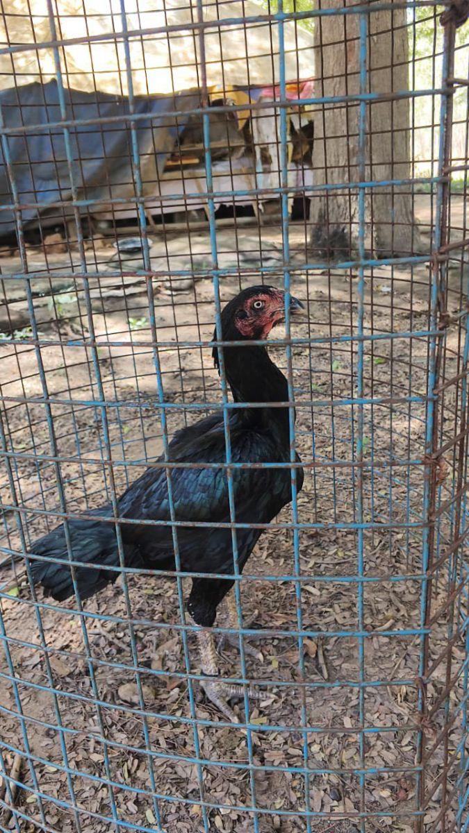 Kathir Pottai