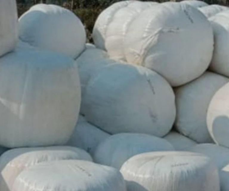 Silage