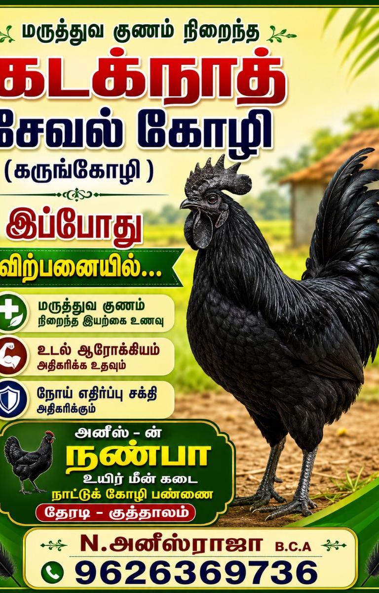 கடக்நாத் (கருங்கோழி)